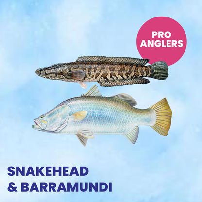 Barramundi Snakehead Fishing (60 minutes) - Main Image
